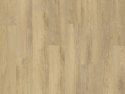 EVD49509 Roble Latido