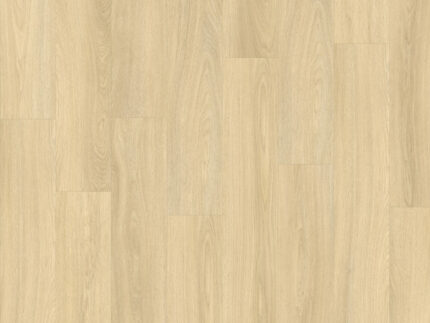 EVD49512 Roble Refugio