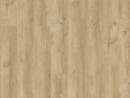 EVD49513 Roble Aura