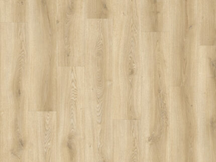 EVD49514 Roble Sereno